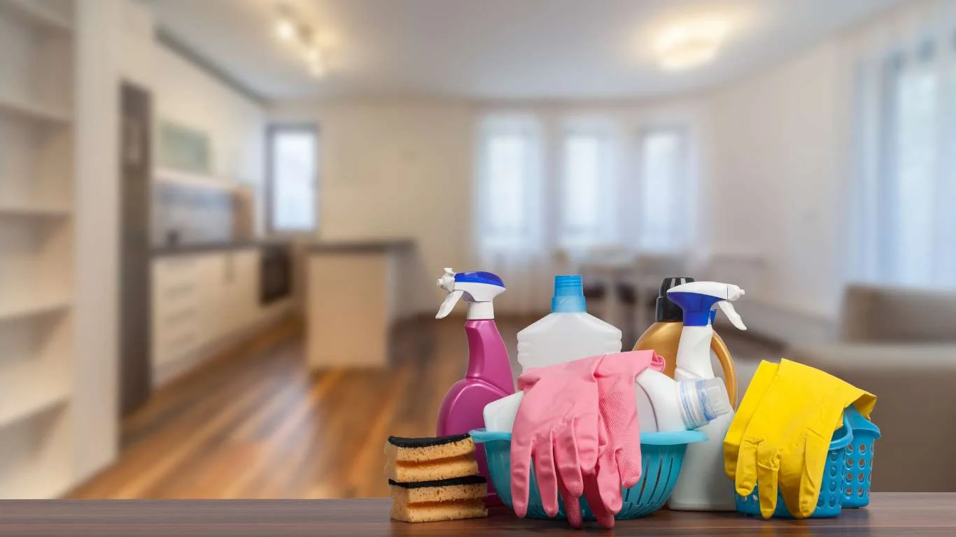 Professional cleaning services in Addis Ababa